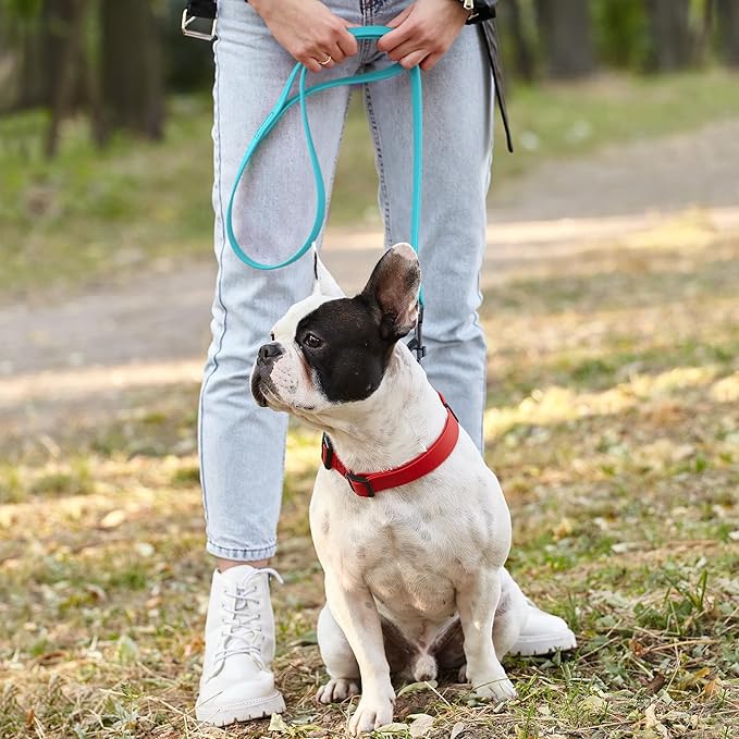 Dogline Biothane Waterproof Dog Leash Strong Coated Nylon Webbing with Black Hardware Odor-Proof Easy to Clean High Performance for Small or Large Dogs Made in USA 2 ft Lead, Sky Blue