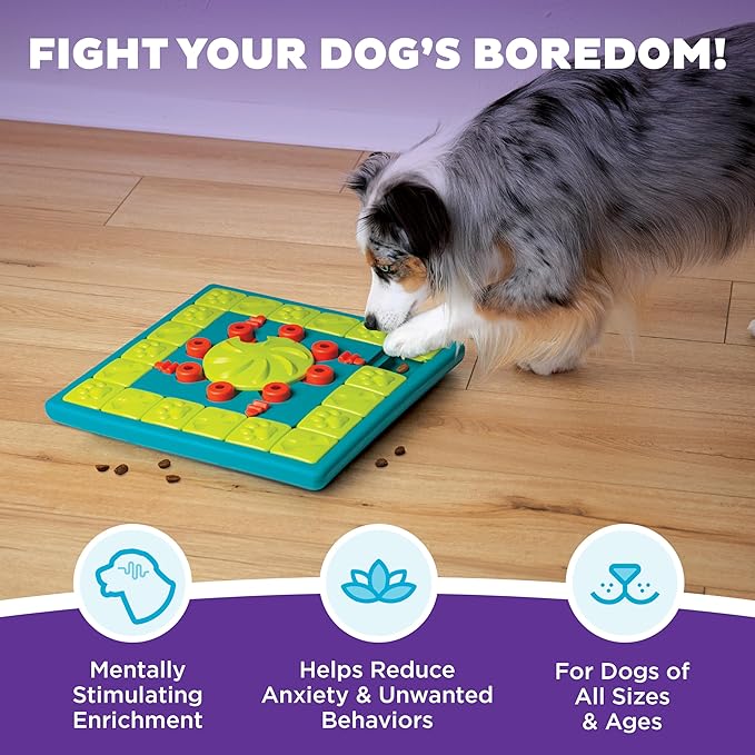 Outward Hound by Nina Ottosson MultiPuzzle – Interactive Dog Treat Puzzle Enrichment Toy, Level 4 Expert