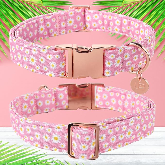 UP URARA PUP Daisy Summer Cotton Dog Collar with Metal Buckle Gift Pink Collar for Small Medium Large Girls or Boys Dogs Cute Durable Comfortable Pet Collars