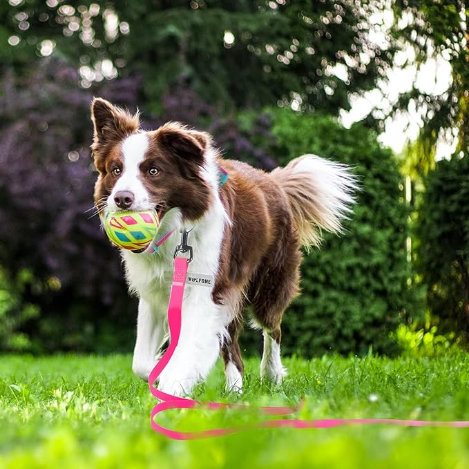 Wolfone 40ft Pink Long Leash - Waterproof Training Dog Leash for Recall, Swimming, Camping, Beach, Hunting, Walking