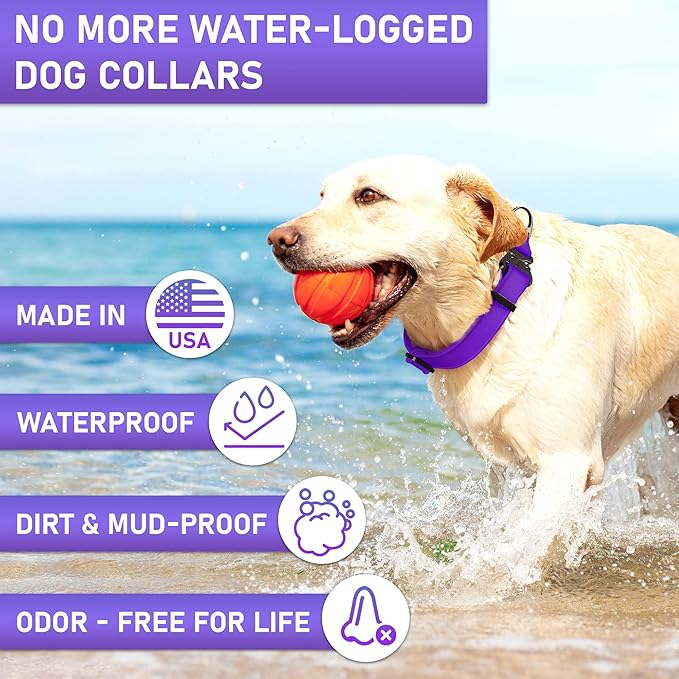 NexaPaw Biothane Dog Collar - Adjustable Heavy Duty for Medium Large Dogs - Waterproof Military Grade - Cobra Buckle, QR Code Dog Tag ID Included