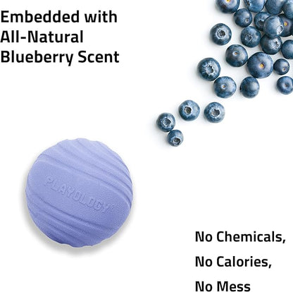 Playology Dog Toys | Dual Layer Ball Durable Chew Toy for Aggressive Chewers | Medium Blueberry Scented Toy - Easy to Clean and Made from Non Toxic Materials