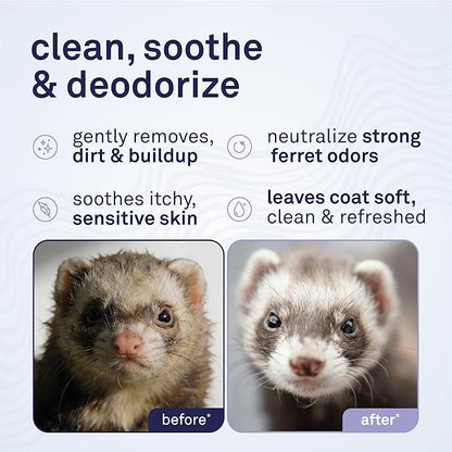 Petpost | Ferret Shampoo. Deodorizing & Moisturizing Formula for Ferrets and Small Animals. Supports Healthy Skin & Coat. 8 oz