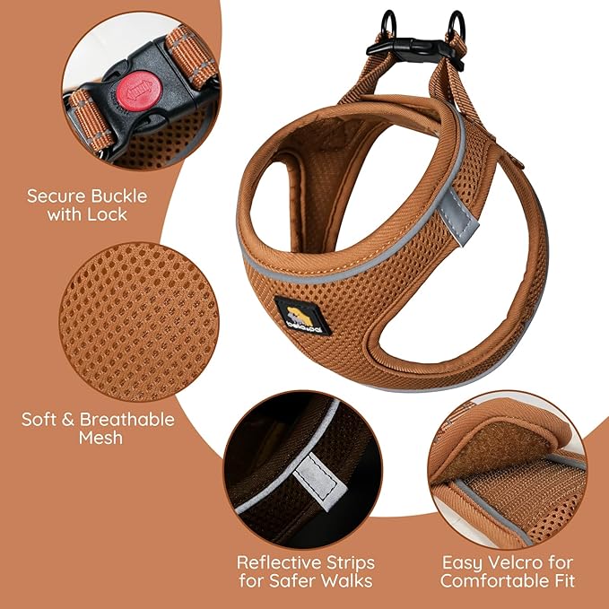 BELLA & PAL Step in Vest Harness for Small and Medium Dogs, No Pull Small Dog Harness with Leash Set, Comfortable Air Mesh Dog Vest Harness with Reflective Strip (Mokka, XXS)