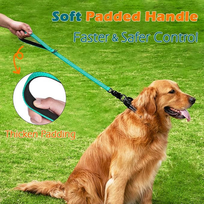 PetBonus Heavy Duty Short Dog Leash, 24 Inch Nylon Traffic Leash with Quick Release Clip, Comfortable Padded Handle, Reflective Training Lead for Medium Large Dogs (Turquoise, 24")