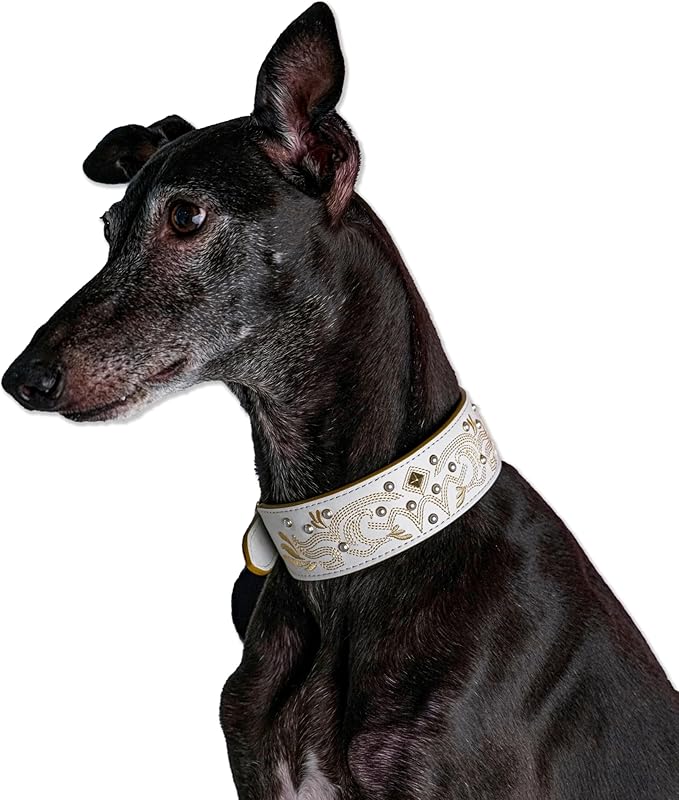 Blueberry Pet Western Genuine Leather Dog Collar for Medium Breeds, Pearl White - Floral Embroidery, Pearl Studs, Adjustable 15-18 Inch Neck, Dog Collars for Medium Dogs