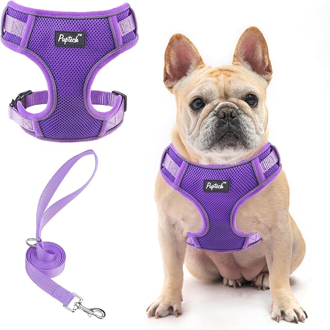 PUPTECK Small Dog Harness and Leash Set, No Pull Adjustable Puppy Cat Harness, Reflective Soft Mesh Pet Vest Small Sized, Purple, L