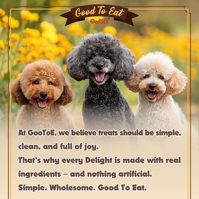 Gootoe Turkey Tendons for Dogs –All-Natural, Hypoallergenic Dog Treats, Rawhide Alternative, Long Lasting Puppy Chews, Healthy Dog Treats for Medium Breeds, Stick (M), 6 Count Pack
