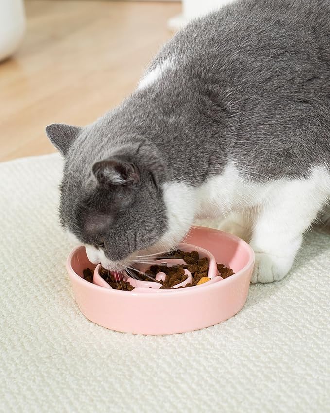 TRUVIC Ceramic Slow Feeder Dog Bowls Small Breed, 0.6 Cup Slow Feeder Cat Bowls for Fast Eaters, Ceramic Dog Food Dish no Black Chin, Puzzle Bowl for Small Dogs and Cats, Pink