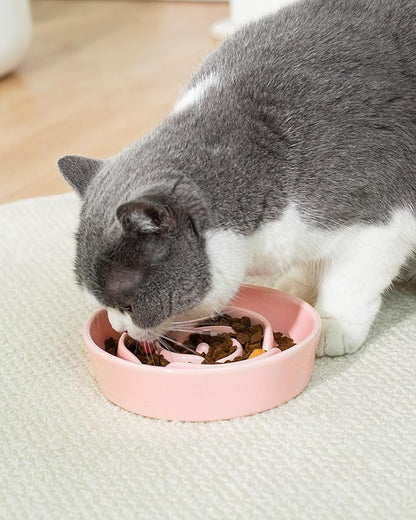 TRUVIC Ceramic Slow Feeder Dog Bowls Small Breed, 0.6 Cup Slow Feeder Cat Bowls for Fast Eaters, Ceramic Dog Food Dish no Black Chin, Puzzle Bowl for Small Dogs and Cats, Pink