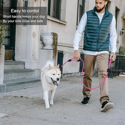 Dog Leash, 6 Foot Dog Leash, 2 Extra Padded Handles, Lockable Metal Carabiner Clip, Reflective No Pull Heavy Duty Rope Lead, Walking, Training, Running, Medium to Large Breeds（Pink）