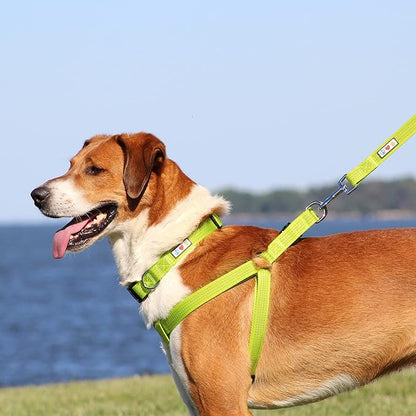 Pawtitas Reflective Step-in Dog Harness – Adjustable No-Pull Vest for Puppies to Seniors, Safe & Comfortable, L Camo Pink