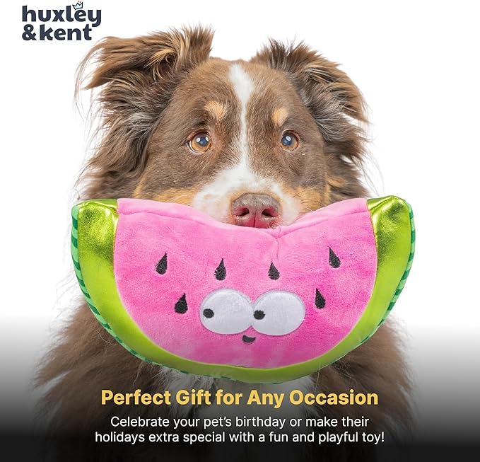 Huxley & Kent Funny Dog Toy w/Squeaker – Power Plush Squeaky Dog Toys for Small, Medium & Large Dogs – Soft Stuffed Animal for Indoor Play & Fetch - Fetchies® Walter Melon, Small