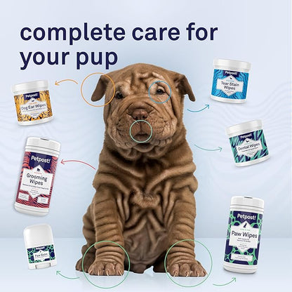 Petpost | Snout Balm for Dogs - Nourishing Snout Soother Balm Heals Dry Dog Noses with Moisturizing Ingredients - Organic Coconut Oil, Jojoba Oil, and Shea Butter 0.64 oz.