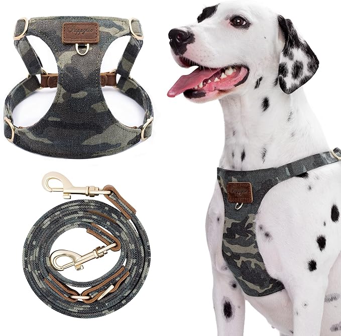 Dog Harness, No Pull Dogs Harness and Multi-Function Leash Set for Medium Dogs Easy Walk Everyday Adjustable Soft Dog Vest Harness Fashionable Dog Accessories Camouflage Green-M(17lb-35lb)