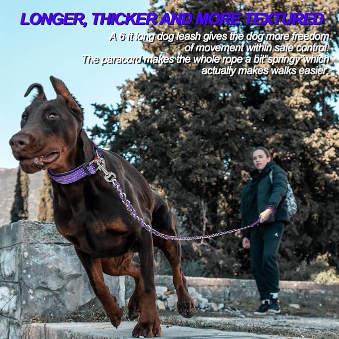 Dog Leash Rope Chain, Nylon Rope Metal Chain for Pet Leads. 6ft Heavy Duty Chew Proof Training Walking for Medium Large Dogs. (Large, Blue&Purple)