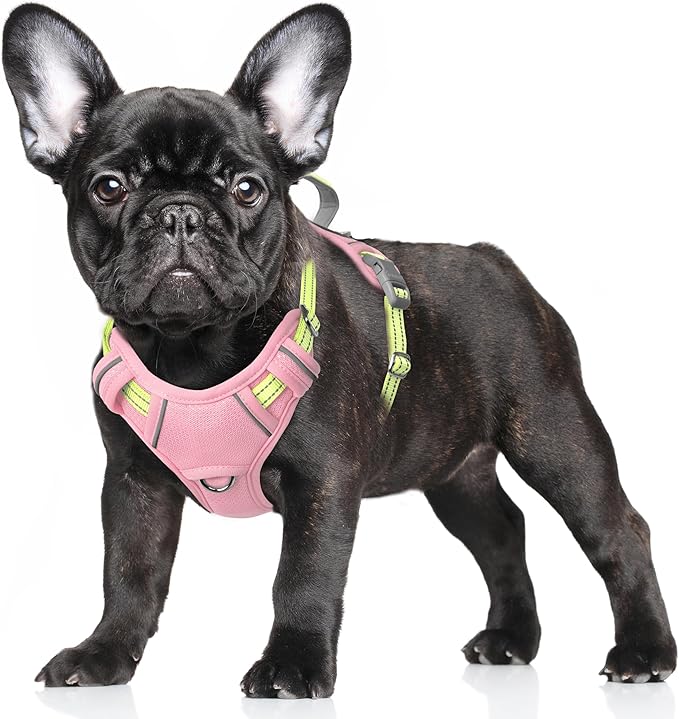 BARKBAY No Pull Dog Harness Large Reflective Dog Harness with Front Clip and Easy Control Handle for Walking Training Running with ID tag Pocket(Baby Pink & Sunlight,S)