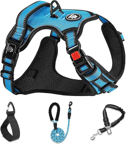 NESTROAD No Pull Dog Harness,Adjustable Oxford Dog Vest Harness with Leash,Reflective No-Choke Pet Harness with Easy Control Soft Handle for Small Dogs(X-Small,Blue)