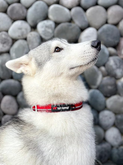 Tuff Pupper Heavy Duty Dog Collar | Tough Dogs Collar | Reflective Collars with Aluminum D-Ring Leash Clip | Separate ID Tag Attachment Keeps Engraved Dog Tags Quiet | Easy Sizing for All Breeds