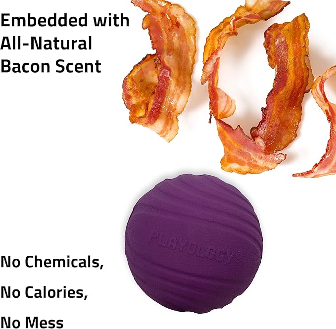 Playology Dog Toys | Dual Layer Ball Durable Chew Toy for Aggressive Chewers | Medium Bacon Scented Toy - Easy to Clean and Made from Non Toxic Materials