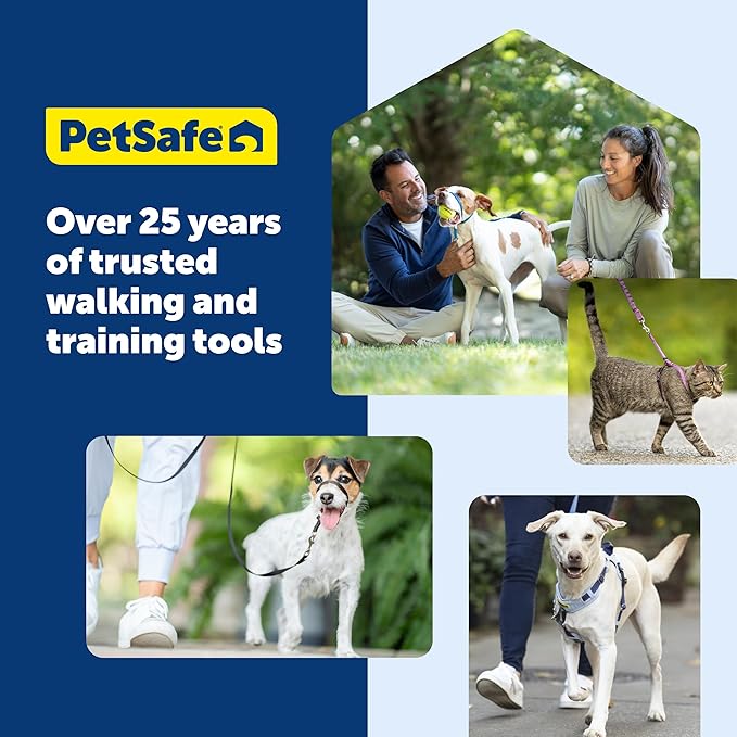PetSafe Easy Walk Comfort No-Pull Dog Harness - Better Walk Training Harness - Full Body Padded Design - Durable Fabric - 5 Point Adjustable Fit - Everyday Leash Training - Green - X-Small