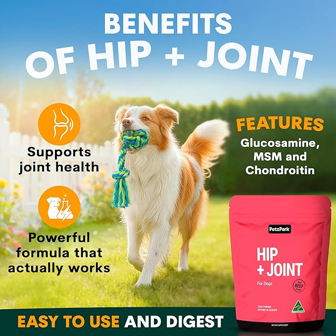 Petz Park Glucosamine for Dogs - Hip & Joint Support Powder with Chondroitin & MSM - Arthritis Pain Relief, Hip Dysplasia Treatment - 800mg Glucosamine - 45 Scoops
