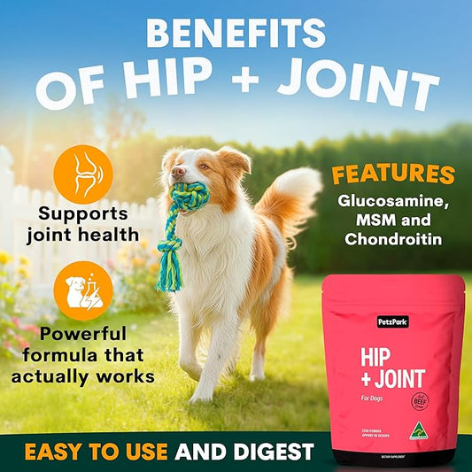 Petz Park Glucosamine for Dogs - Hip & Joint Support Powder with Chondroitin & MSM - Arthritis Pain Relief, Hip Dysplasia Treatment - 800mg Glucosamine - 45 Scoops