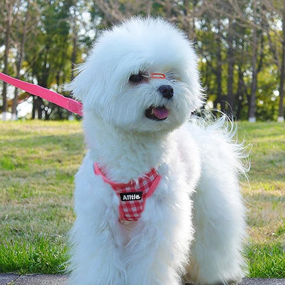 AIITLE Small Dog Harness and Leash Set, Step in No Pull Pet Harness, Soft Mesh Reflective Plaid Vest Harnesses for Small Dogs Puppy and House Cats Outdoor Walking Running Watermelon XS