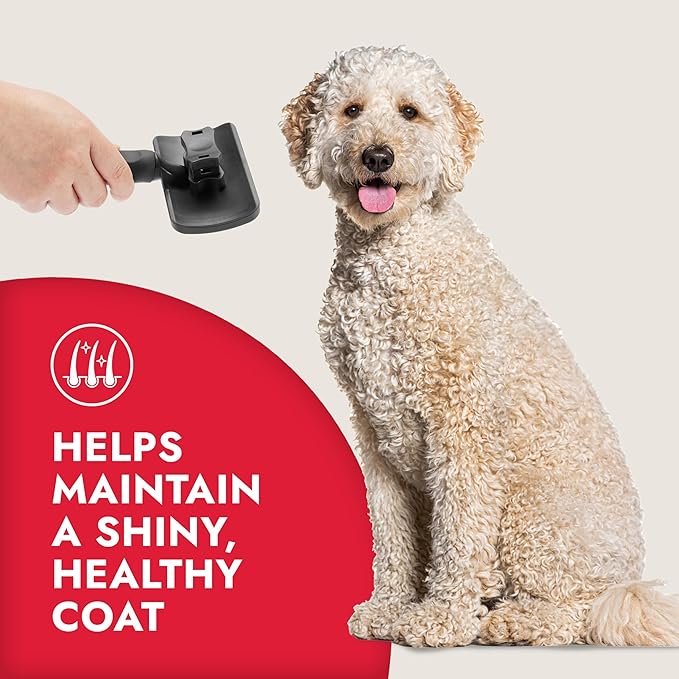 KONG Large Self-Cleaning Slicker Brush – Easy Hair Removal, Reduces Shedding, Non-Slip Grip, Long Metal Pins, for Medium to Large Dogs with Medium to Long Coats, Red/Gray