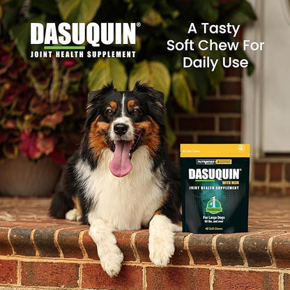 Nutramax Dasuquin for Large Dogs, Joint Health Supplement, Contains Glucosamine for Dogs, Plus Chondroitin, ASU, MSM and More, Supports Healthy Joints, Soft Chews, 42 Count