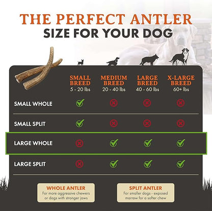 Alpha Dog Nutrition Elk Antler Chews (Large, Whole)