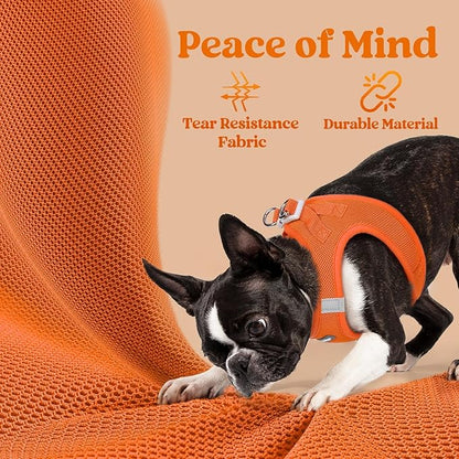 rabbitgoo Small Dog Harness, Step-in Soft Mesh Puppy Vest with Safety Buckle, Breathable Reflective Pet Harness for Small Sized Dogs, Orange S