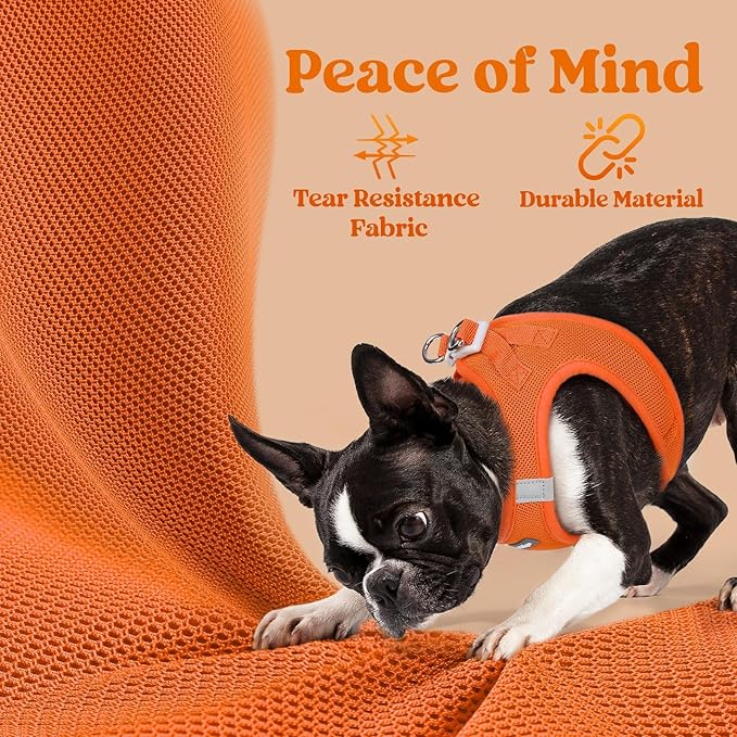 rabbitgoo Small Dog Harness, Step-in Soft Mesh Puppy Vest with Safety Buckle, Breathable Reflective Pet Harness for Large Dogs, Orange XXL
