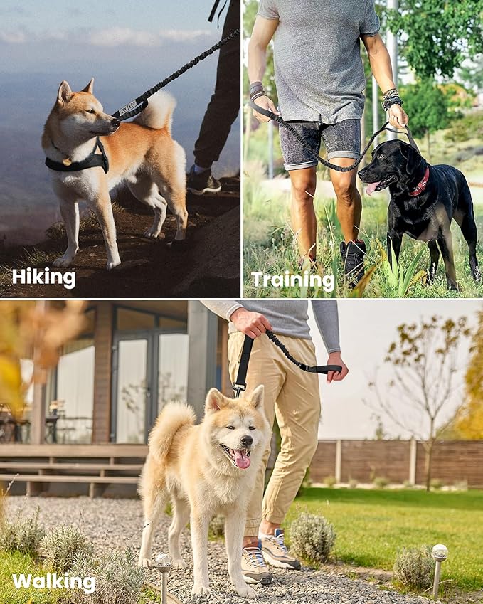 OutdoorMaster Bungee Dog Leash, Heavy Duty Dog Leash with Shock Absorption, 2 Padded Handles Training Leash, Improved Dog Safety and Comfort (Black, 4 FT)