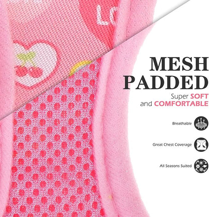 EXPAWLORER Small Dog Valentines Harness and Leash Set - Cute Puppy Harness Leash Dog Collar with AirTag Holder Silicone Case, Soft Padded Step in Pet Vest Reflective for Outdoor Walking, Heart M