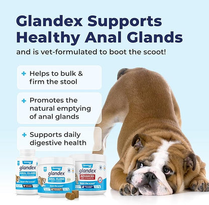 Glandex Dog Fiber Supplement Powder for Anal Glands with Pumpkin, Digestive Enzymes & Probiotics - Vet Recommended (Regular or Advanced Strength) - Boot The Scoot (2.5 oz, Pork Liver)