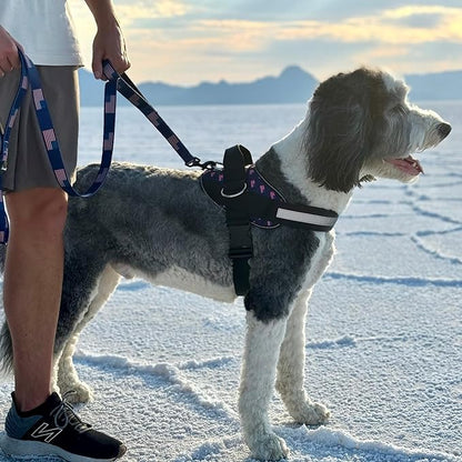 ShawnCo Essential Dog Harness, No-Pull Pet Vest with 3 Leash Clips, No Choke, Reflective, Adjustable and Padded, for Easy Walking and Training for Small, Medium and Large Dogs (USA Flag,L)