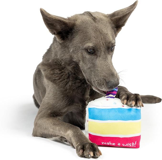 Huxley & Kent Funny Dog Toy w/Squeaker – Birthday Power Plush Squeaky Dog Toys for Small, Medium & Large Dogs – Soft Stuffed Animal for Indoor Play & Fetch - Make a Wish Cake, Small