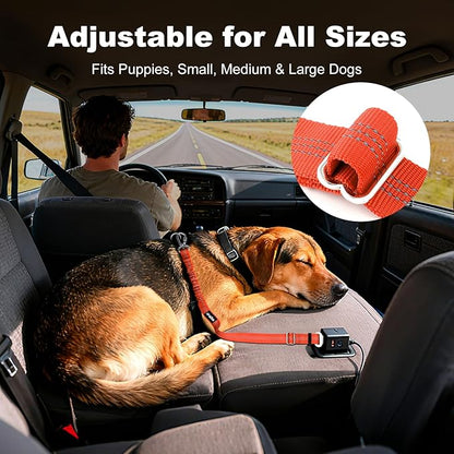 APakBak Dog Seat Belt for Car, Adjustable Dog Car Harness Seatbelt for Small Medium Large Dogs, Heavy Duty Travel Safety Restraint with Locking Aluminum Hook & Reflective Nylon Strap, Orange