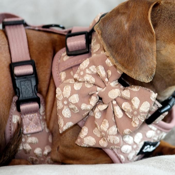 Medium Dog Collar and Harness Set – No Pull, All-Weather, Breathable Harness & Leash Set with Collar, Bandana, Sailor Bow & Poop Bag Holder – Adjustable & Soft - Cocoa Bloom on Jacquard Fabric