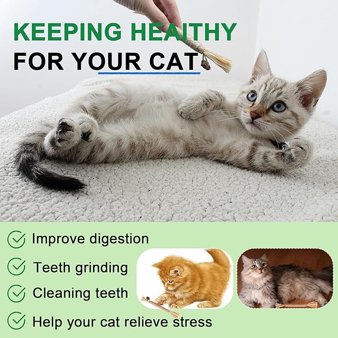 Leoezx Silvervine Sticks for Cats, Silver Rattan Stick Catnip Stick,Kitten Training Toy,Cats Chew Stick Indoor,Cat Interactive Toy,Tooth Cleaning for cat,Kitty Wooden Tooth Stick Cat Game
