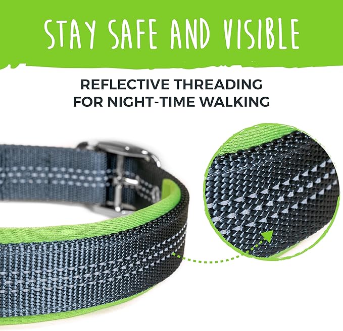 Mighty Paw Ultra Soft Dog Collar - All-Metal Adjustable Buckle for Large and Small Dogs - Super Soft Neoprene Padding for Ultimate Comfort - Heavy-Duty Hardware for Long Lasting Durability