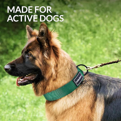 Heavy Duty Dog Collar for Large or Medium Dogs, Adjustable Strong Dog Collar for Active Dogs, Double-Layered Nylon (Green, 15-23)