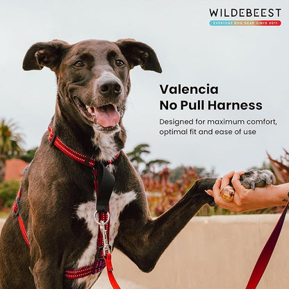 Wildebeest Valencia No Pull Dog Harness | Front and Back Leash Clips | Soft Padded Straps | Lightweight, Adjustable, Easy On/Off for Training and Dog Walking | X-Small Red