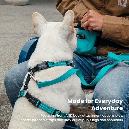 Wildebeest Valencia No Pull Dog Harness | Front and Back Leash Clips | Soft Padded Straps | Lightweight, Adjustable, Easy On/Off for Training and Dog Walking | X-Large Turquoise