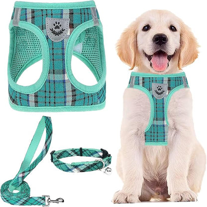 PUPTECK Adjustable Dog Harness Collar and Leash Set Step in No Pull Pet Harness for Small Medium Dogs Puppy and Cats Outdoor Walking Running, Soft Mesh Padded Reflective Vest Harnesses, Lake Green L