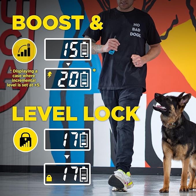 Dogtra E-Collar Tom Davis 280C 2.0 [2025 Edition], Boost & Lock, Waterproof, 1/2-Mile Range Dog Training Collar with Remote, Rechargeable, 127 Levels, Vibration, Bungee, No Bad Dogs Trainers