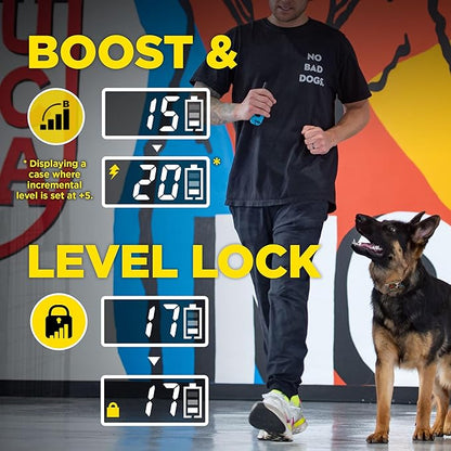 Dogtra E-Collar Tom Davis 280C 2.0 [2025 Edition], Boost & Lock, Waterproof, 1/2-Mile Range Dog Training Collar with Remote, Rechargeable, 127 Levels, Vibration, Bungee, No Bad Dogs Trainers