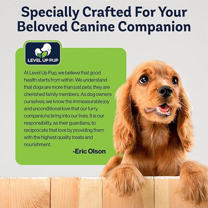LVL Up Pup Dog Joint Supplement for Senior Dogs – Hip & Joint Supplement for Dogs with Glucosamine, Chondroitin, MSM – Dog Supplement for Large Breed – Joint Health Chews