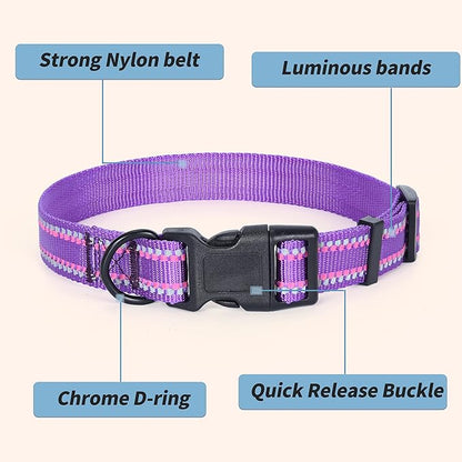 Mile High Life Reflective Dog Collar, Basic Dog Collars Adjustable Quick Release, Soft Nylon Pet Collar with Metal D-Ring for Small Medium Large Dogs (Purple, XS Neck9-13")